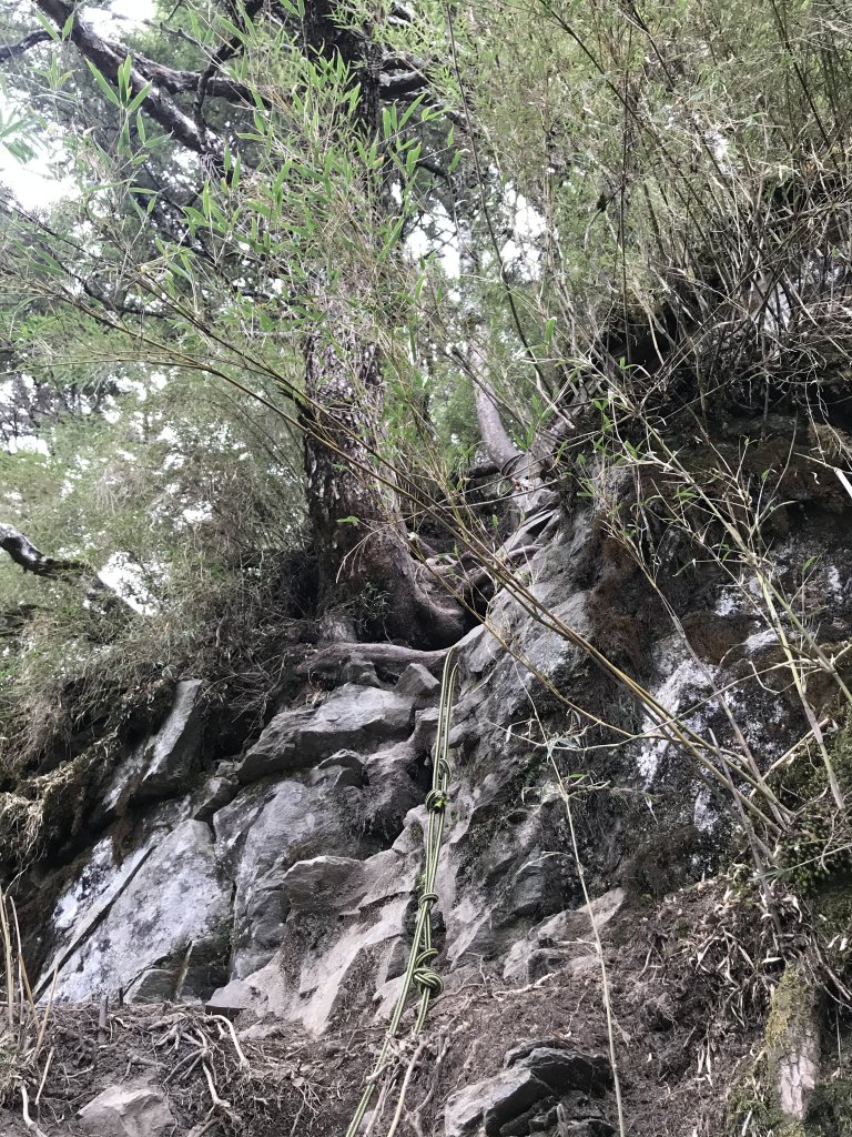 吃辣有益健康~屏風山單日來回_1370014