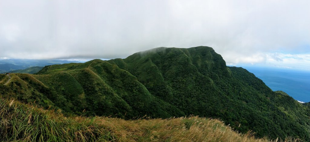 草嶺古道及桃源谷賞芒&&一望無際的綠_748792
