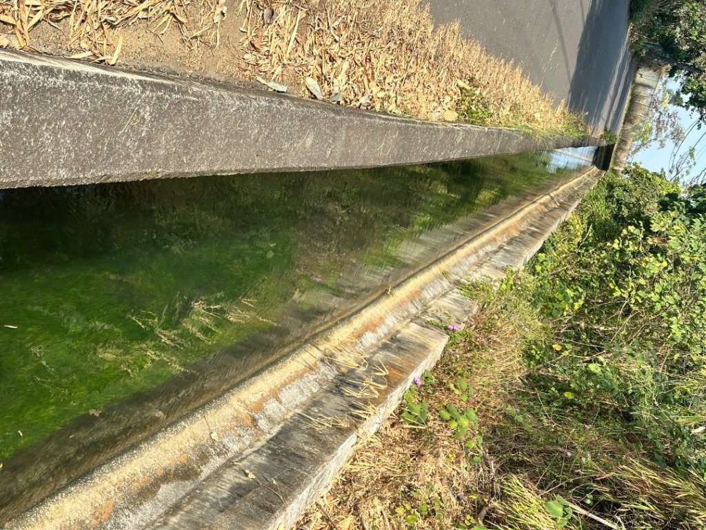 台中烏日-知高川圳步道_2617530