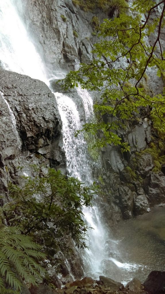 陽明山國家公園最大的瀑布「阿里磅瀑布」_406744