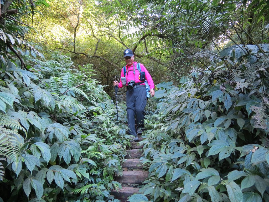 總督府步道.頭寮山_752466