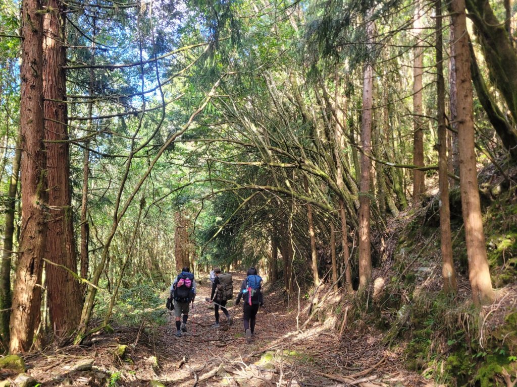 20231103 南一段四天_2356050