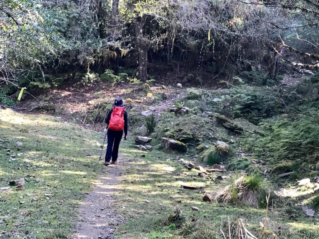 石山 石山引水道_551381