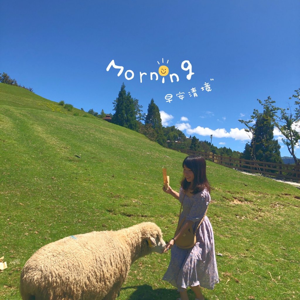 新手登百岳合歡主峰｜暗空公園觀星_1069717