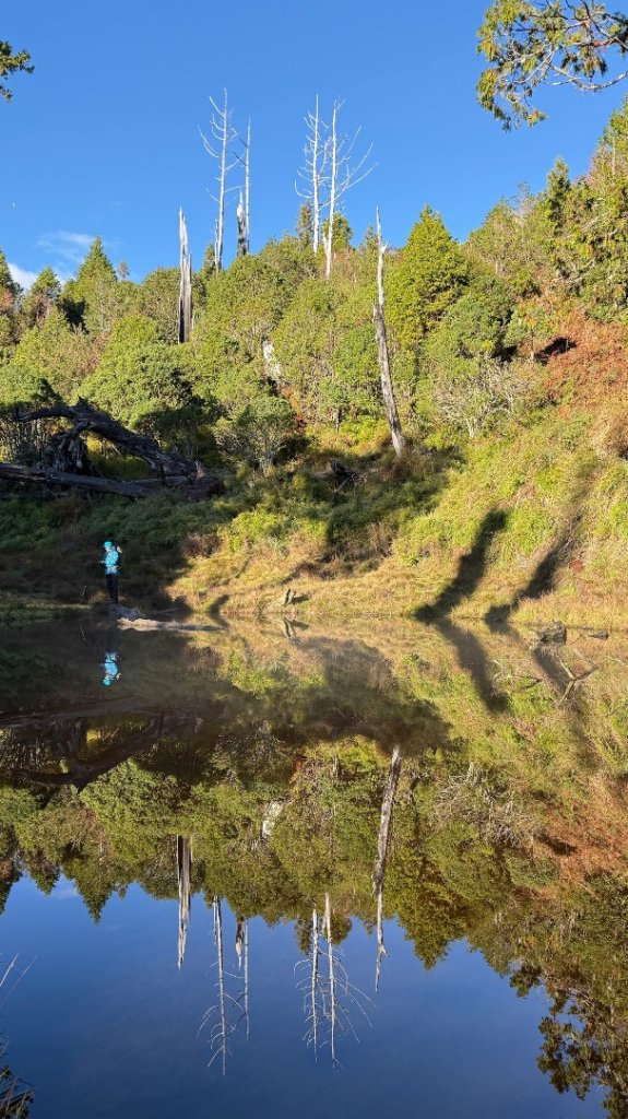 穿羅紗的「加羅湖」_2943935