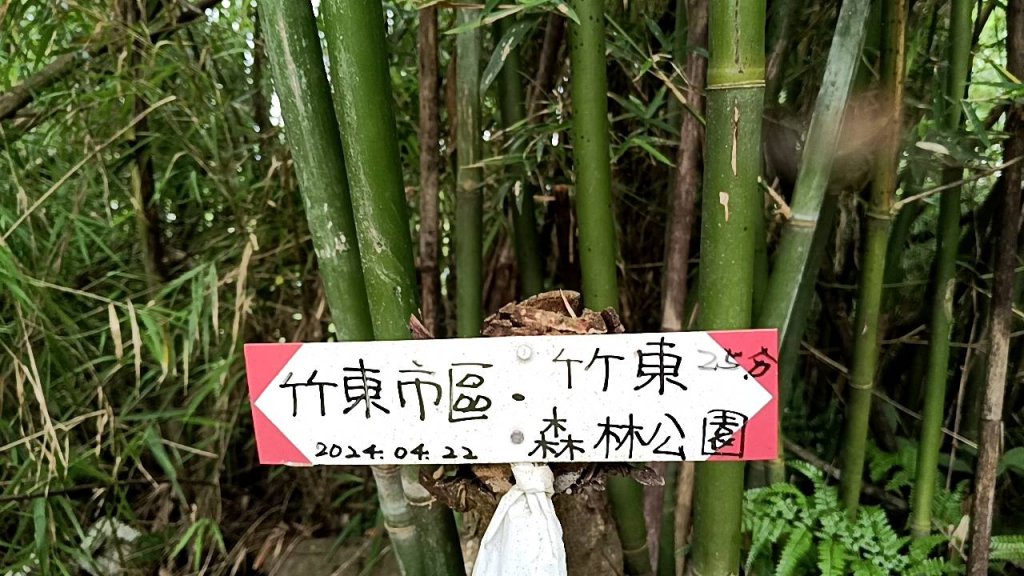 20250607 新竹竹東三山(樹杞林山 - 新具庄山 - 員崠子山)  O型_2809152