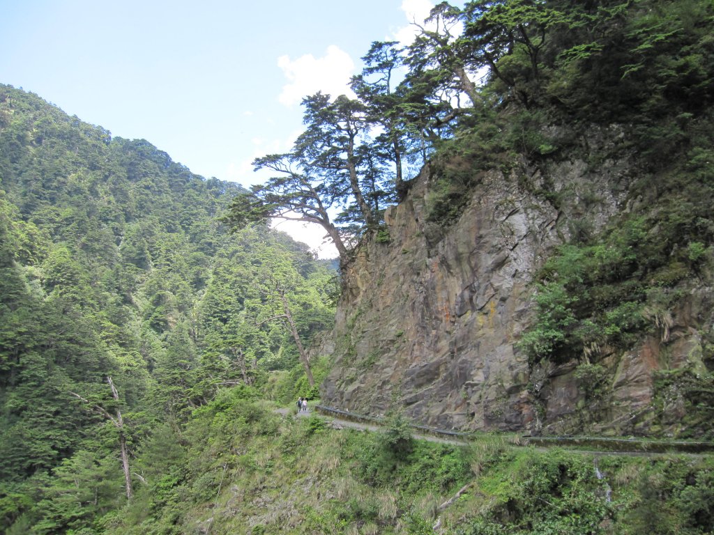 處處都是美景的合歡溪步道_1026116