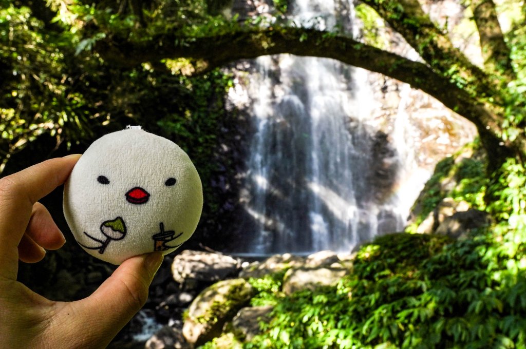 滿月圓森林步道封面圖