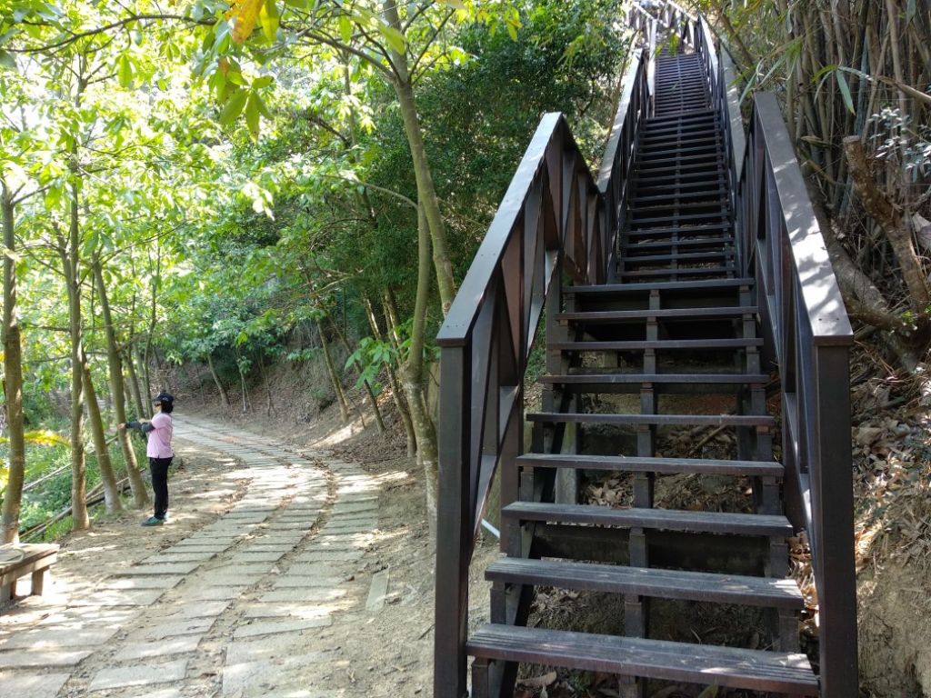 大坑步道6+7_306716