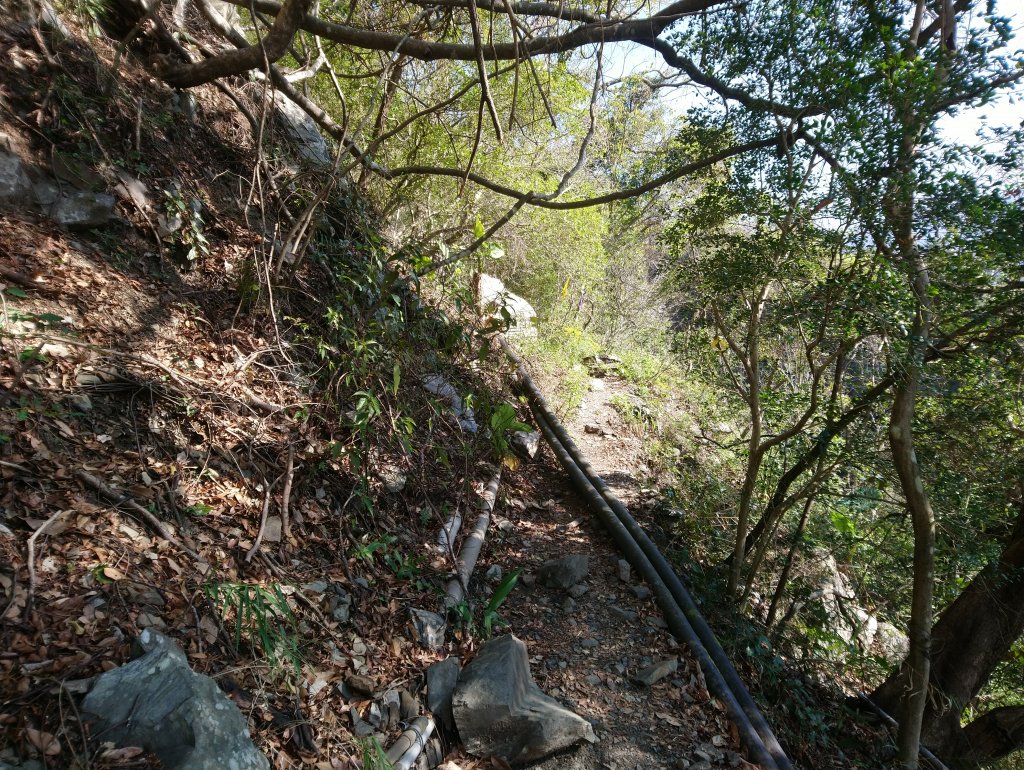 屋我尾山(麗陽線)_821158