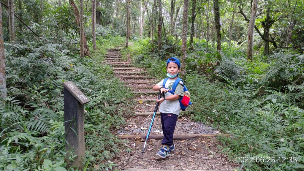 拳頭姆步道封面圖