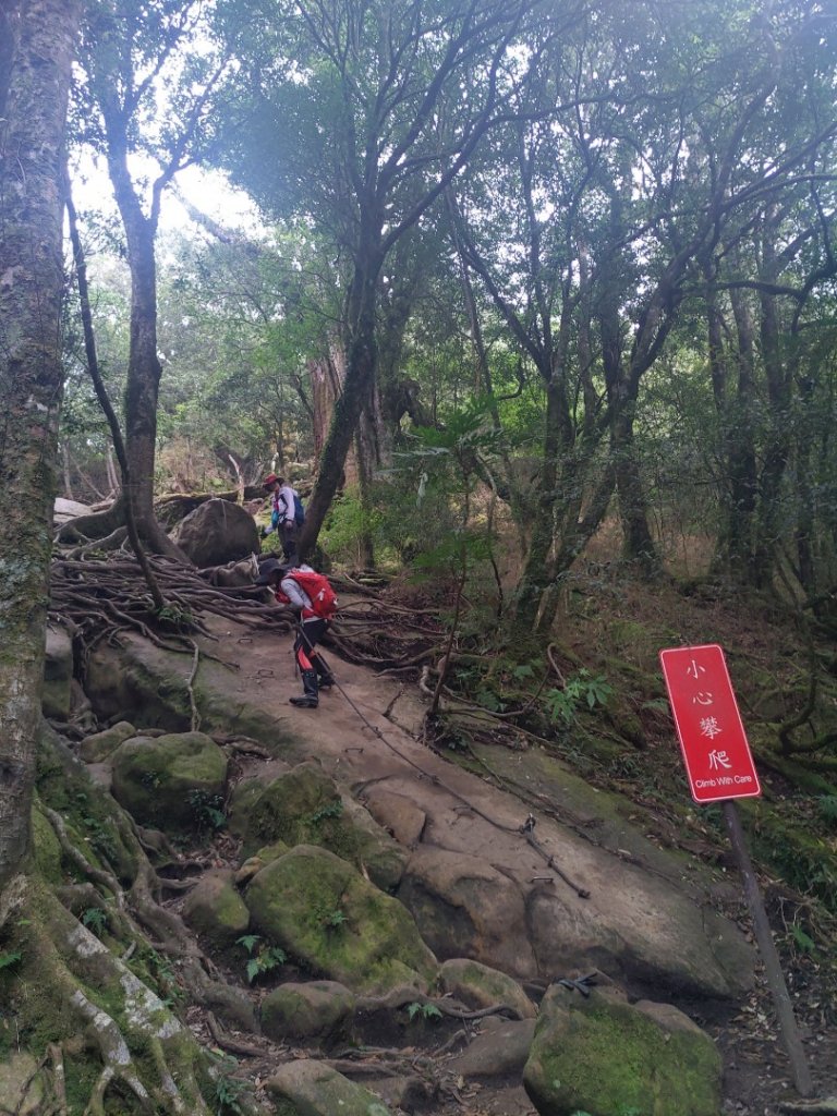 南庄騰龍山杜鵑嶺加里山_1675898