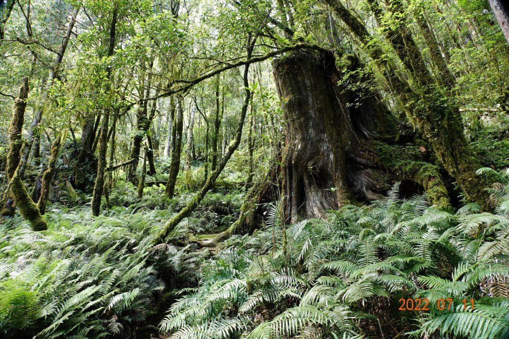 宜蘭 大同 加羅山_1763915