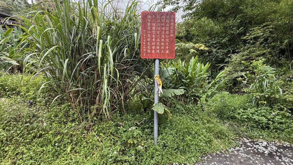 潮濕原始的峰頭尖|平溪三尖|白石腳|峯花雪月_2782554
