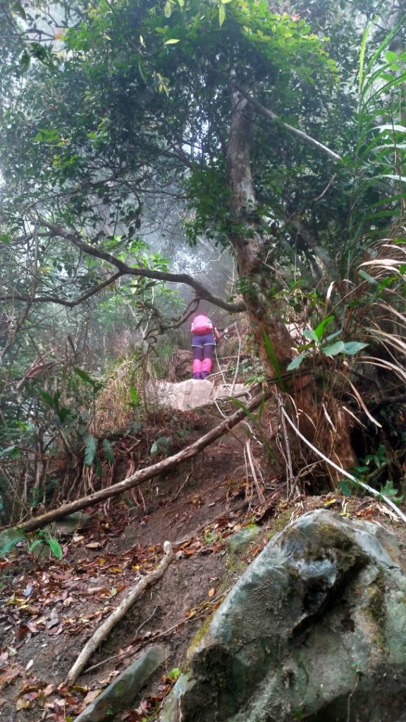 小百岳【三腳南山】_915761