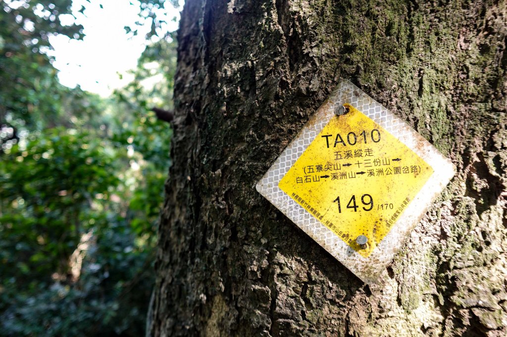 溪洲山小百岳｜福山巖登山步道_2898904