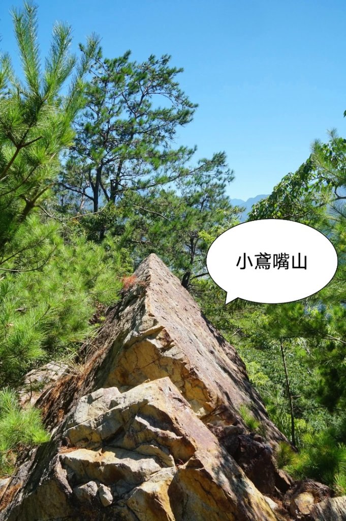 阿冷山 谷關第八雄_2877412