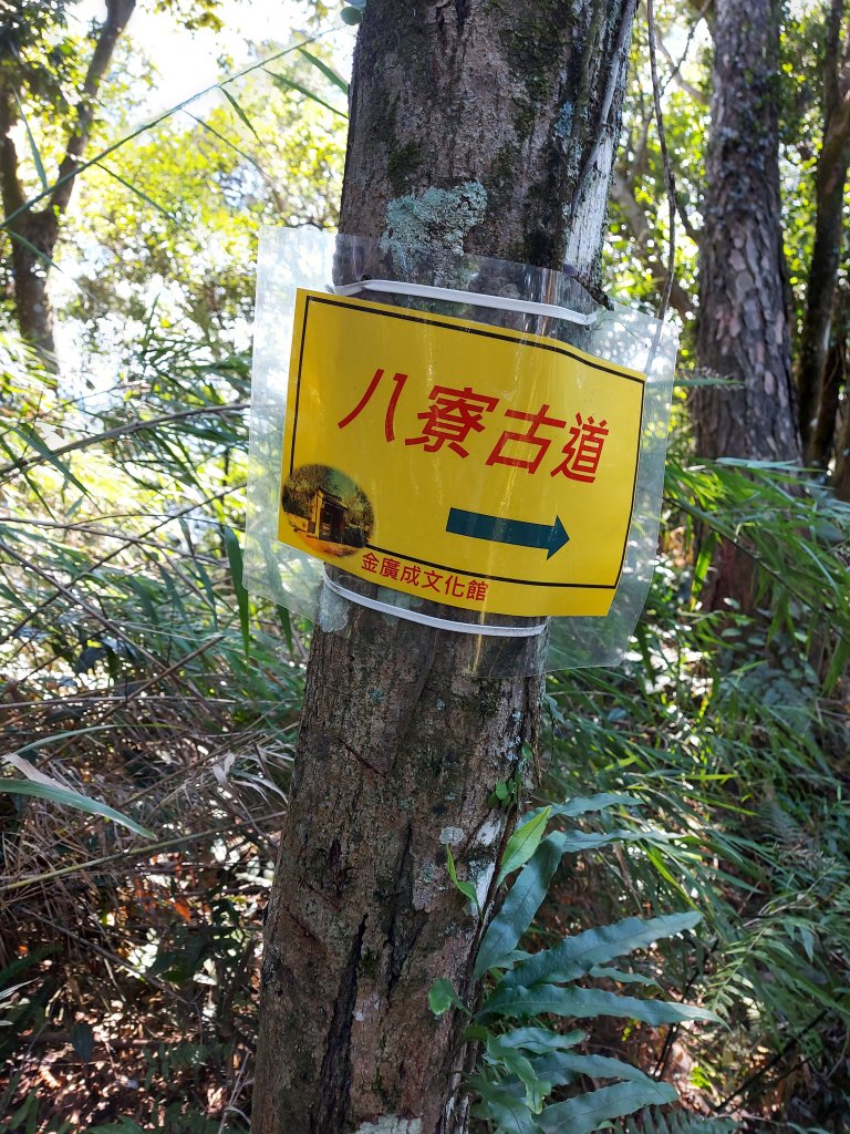 1100102樟之細路：龍潭-關西_1232325