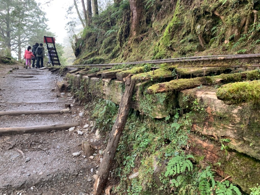 宜蘭見晴懷古步道與太平山_832762