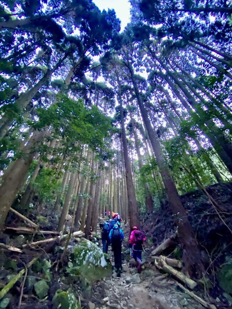 加里山縱走虎山    2021/12/4_1539116