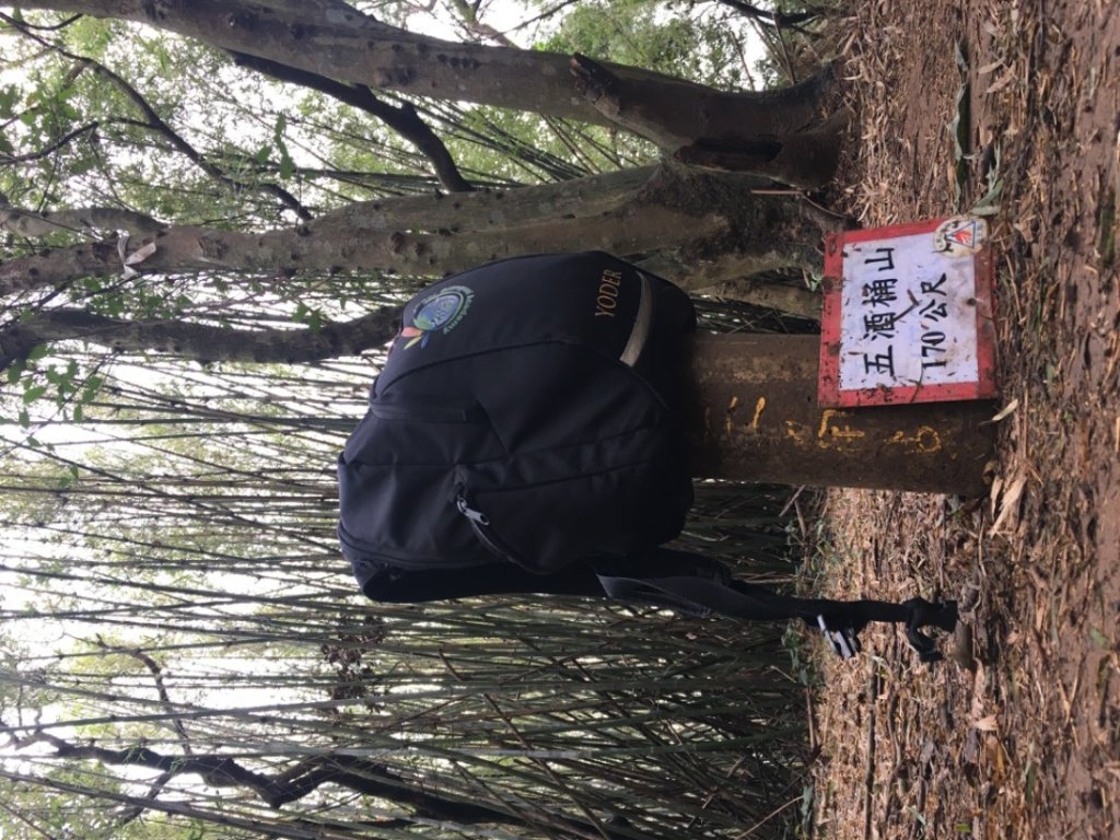 五酒桶山、南崁山_2693323