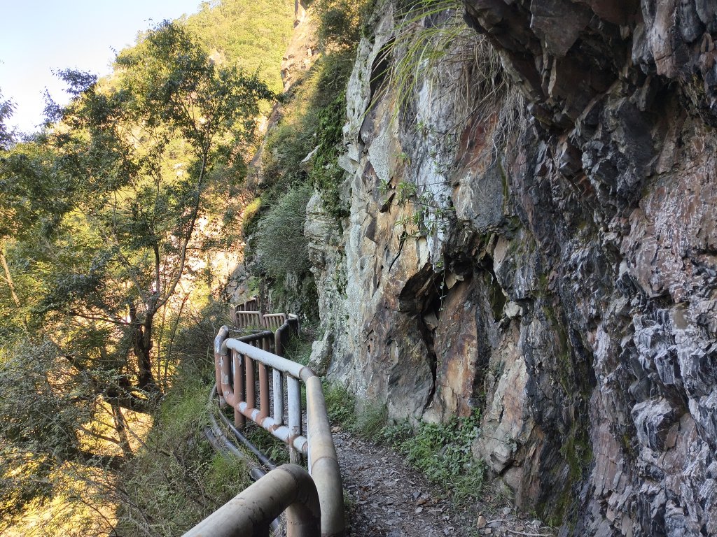 [玉山尋寶任務-07/12] 2025_0824 八通關雲龍瀑布步道_2870716