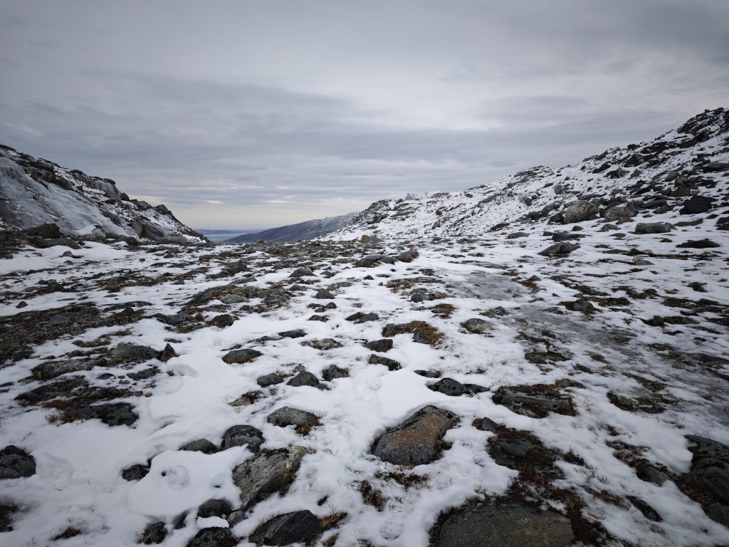 [紐約馬之行-46] 2025_1108 努克環狀步道 3/5_2951408