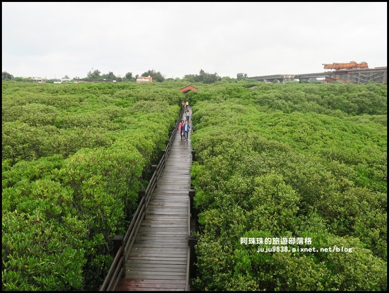 新豐紅樹林生態保護區封面圖