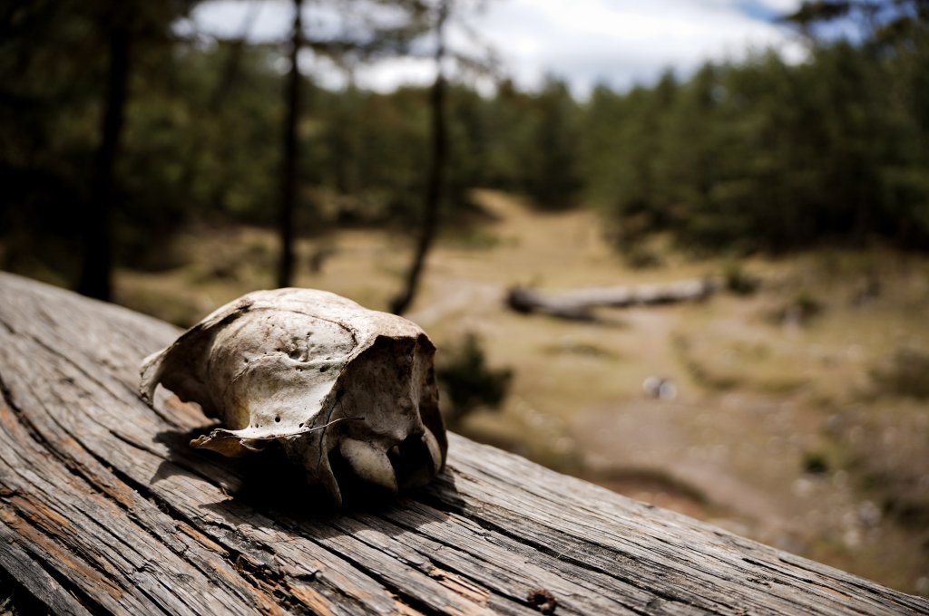 戒茂斯上嘉明湖三天兩夜_2769411