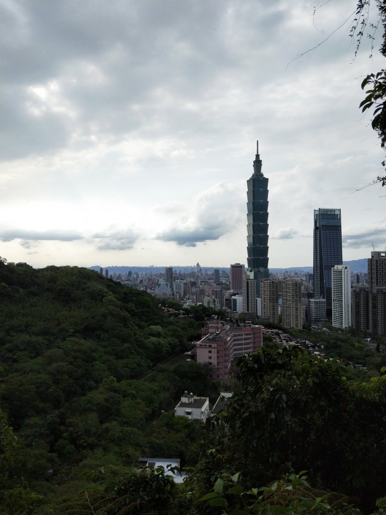 南港山縱走親山步道(拇指山、南港山、象山、九五峰)_1820201