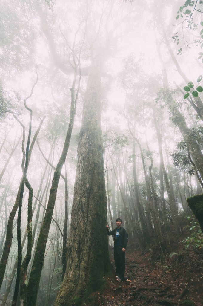 谷關七雄之二｜馬崙山_393438