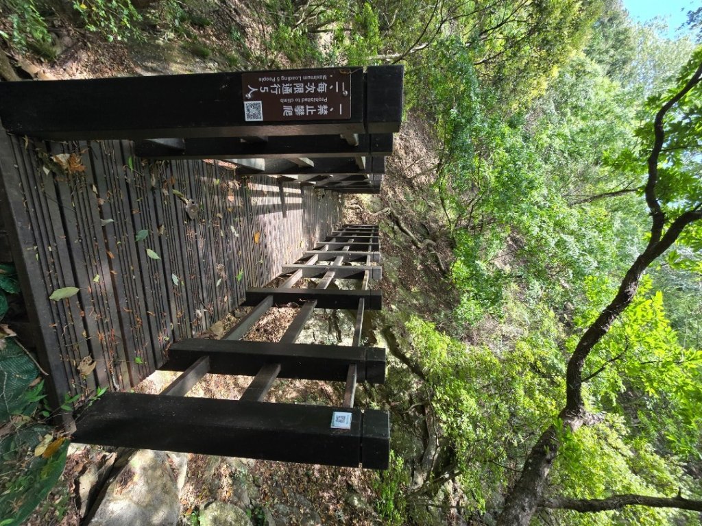 谷關松鶴橋對面的德芙蘭生態步道順登東卯山西南峰_2748308