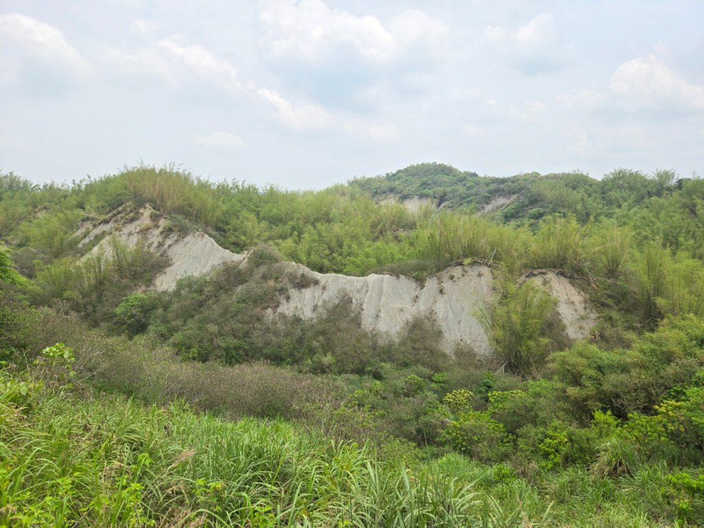 2025-04-07 左鎮後坑古道（牛港嶺）_2757648