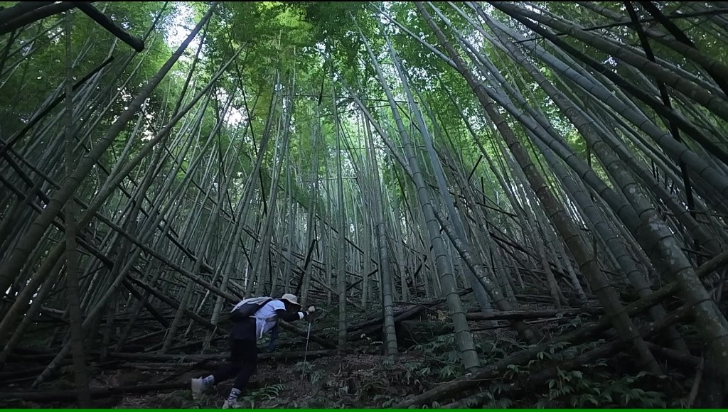 阿里山頂湖三連峰:天福山、芙蓉山、凸龜山封面圖