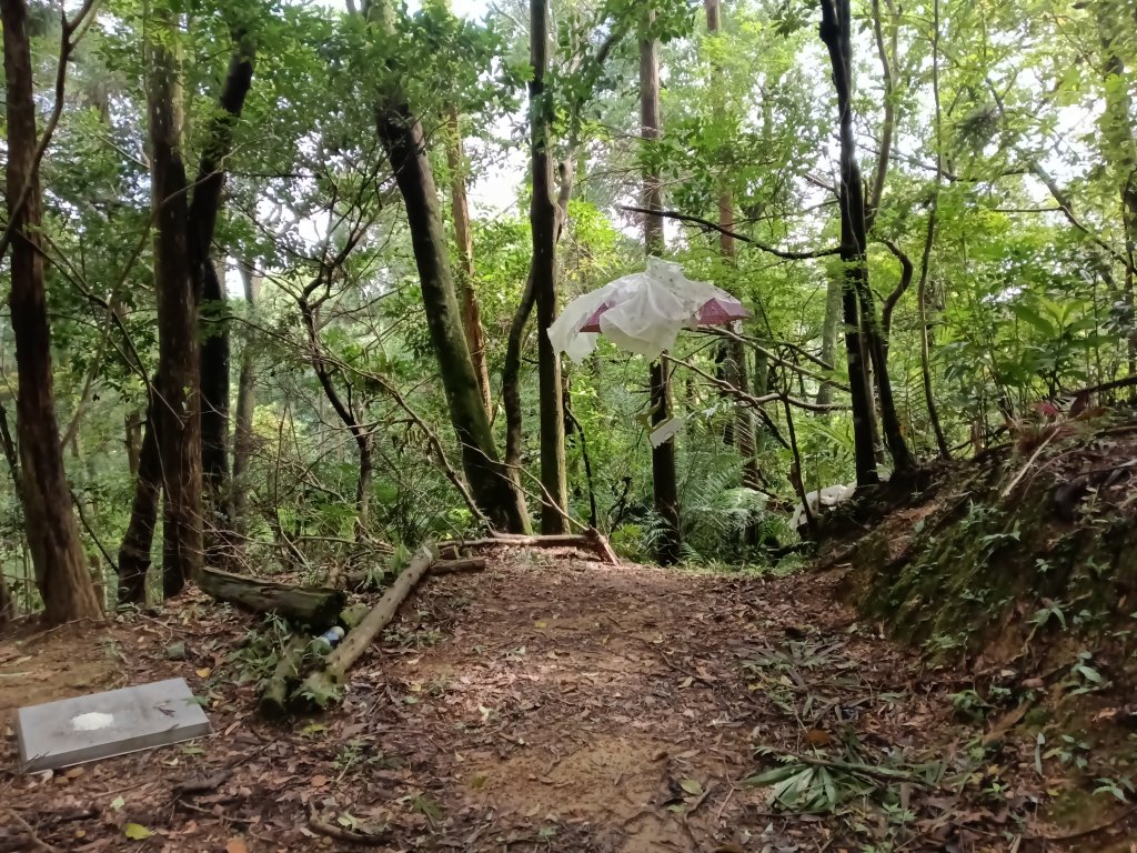 平溪區善覺寺古道(步道)去回_2855402