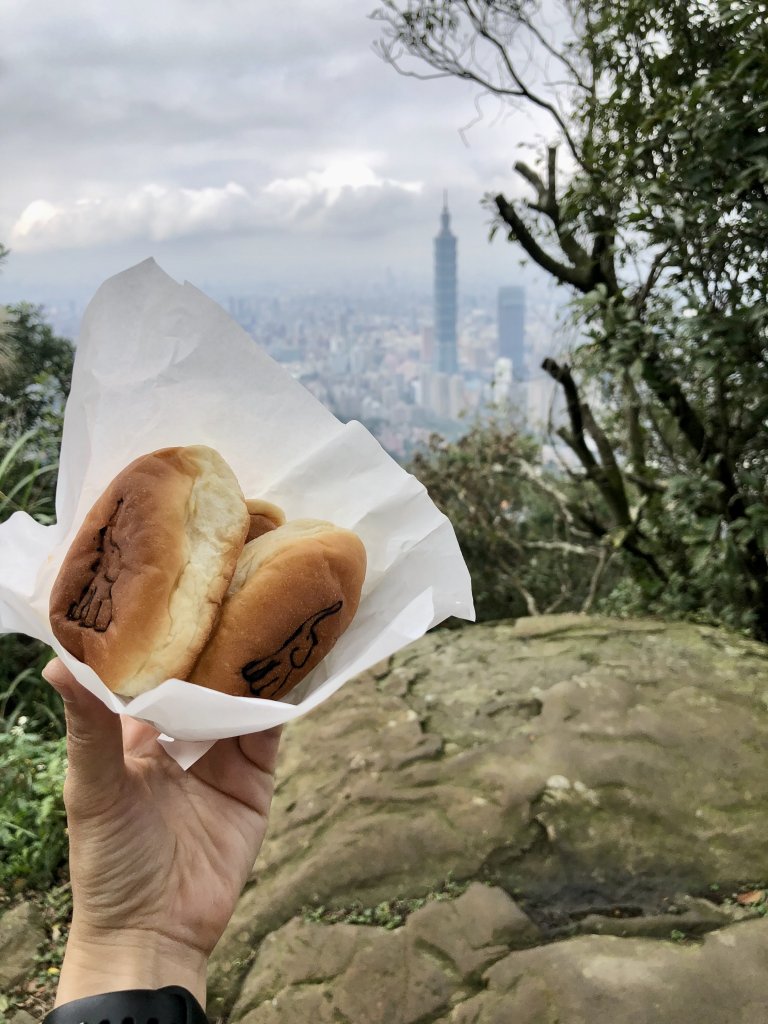 九五峰 虎山溪封面圖