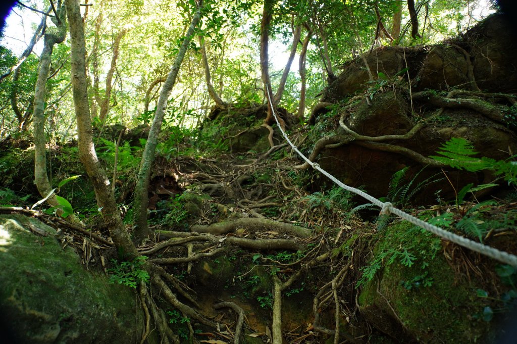 新竹 尖石 貴妃山、那結山_2913607