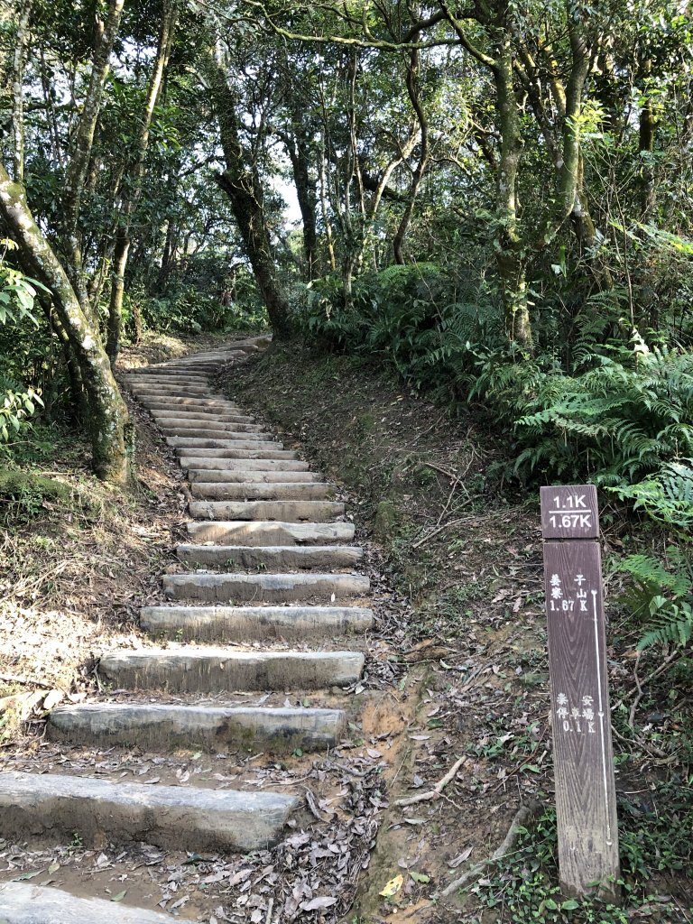 台灣小百岳No.011姜子寮山_908426
