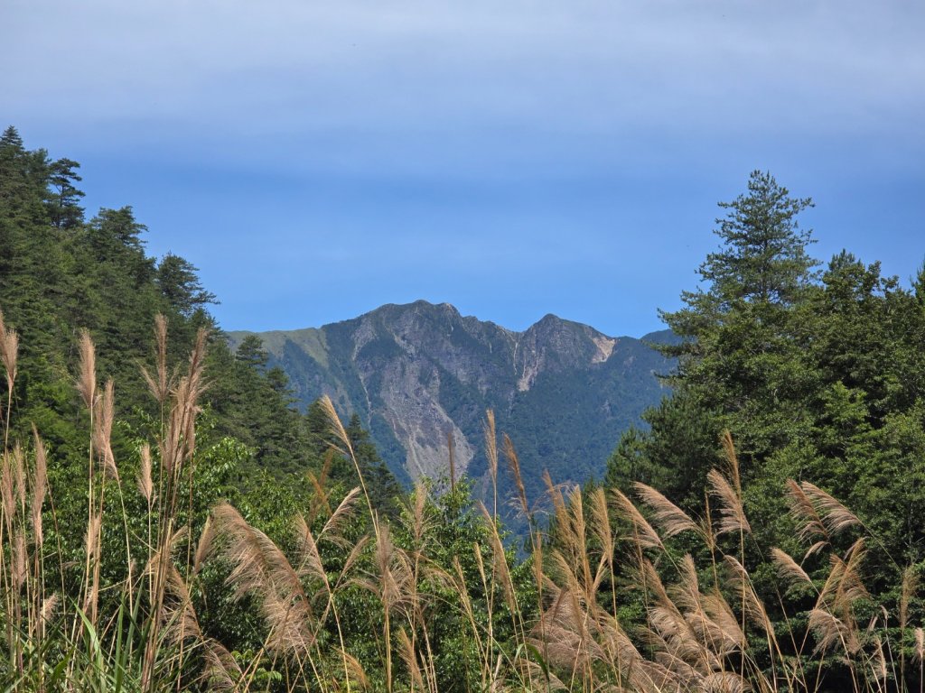 志佳陽大山（回程走高繞環山獵人登山步道）_2542118