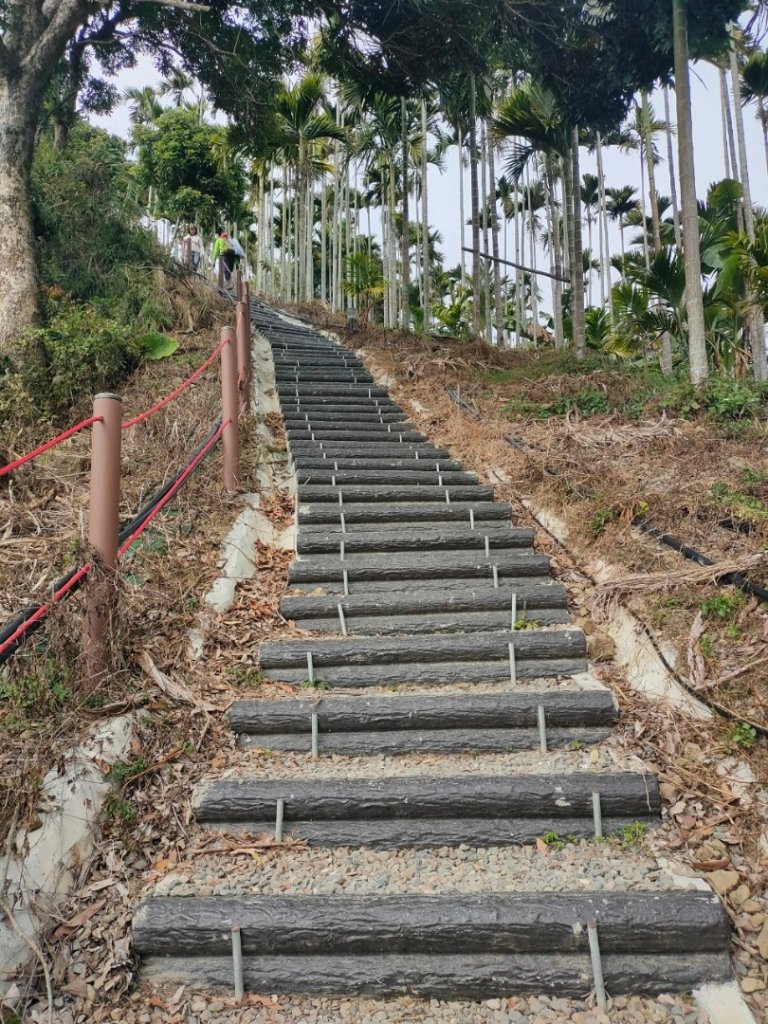 嘉義［阿拔泉山稜線步道］+太平雲梯_2235703