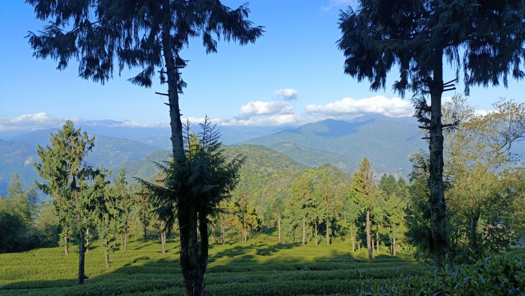 橫屏山~獅凸魯山~舊武界越山~ 埋石山2022年4月5日_1663995