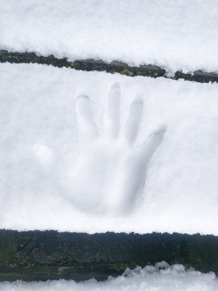 2020_01_28-29天池山莊下雪_820434