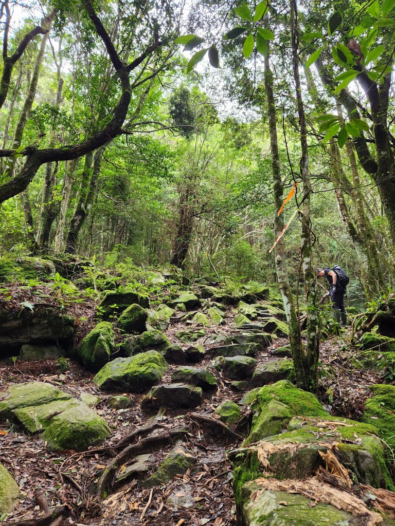 20230819 谷關七雄初登板-二哥馬崙山，白冷冰棒_2255645