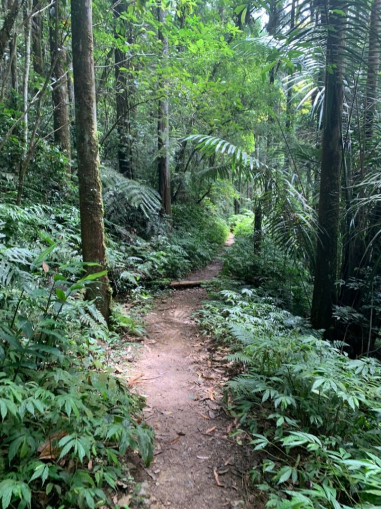 哈盆野營_1025217