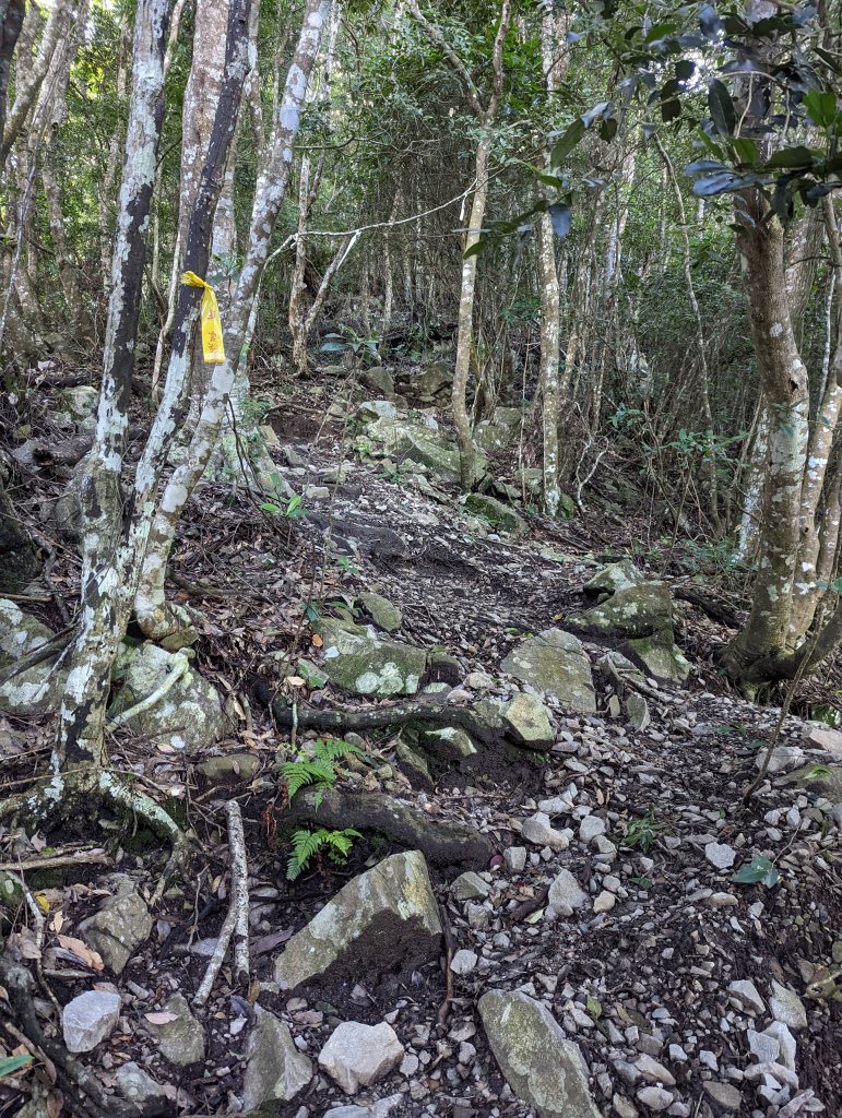 谷關七雄：八仙山_1744075