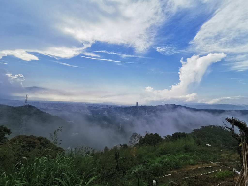 雨後猴山坑山嵐飄渺封面圖