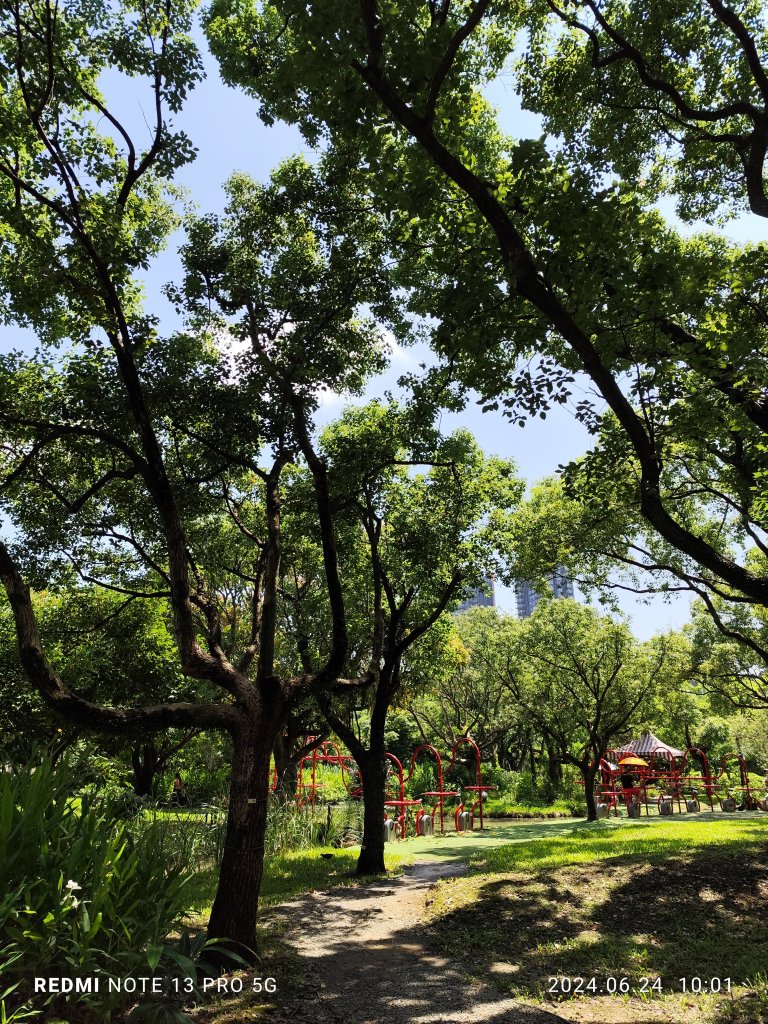 大安森林公園【走路趣尋寶】；大港墘公園、瑞陽公園【臺北健走趣】_2535132