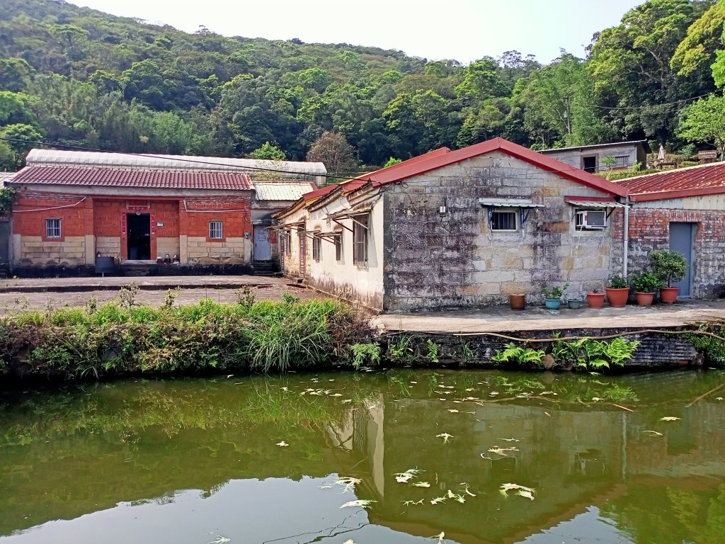 【臺北大縱走 4】2-1 風櫃嘴→雙溪溝古道→五指山古道→大崙頭山北面步道→碧山路_2113322