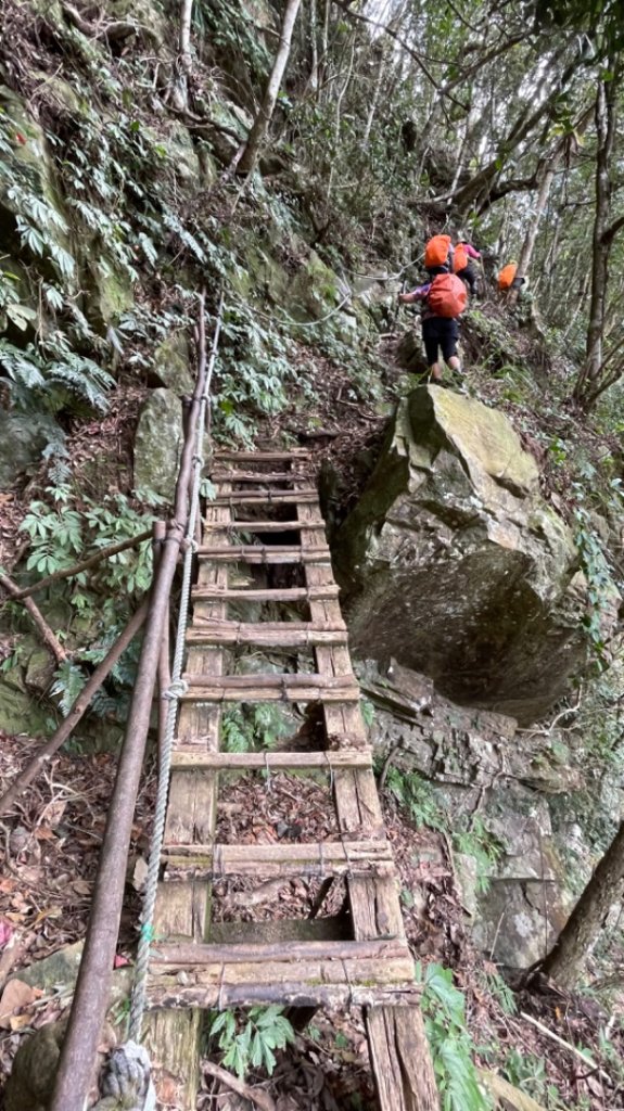 苗栗/馬那細道邦山-烏嘎彥竹林-水雲三星-鳥嘴山_2651566