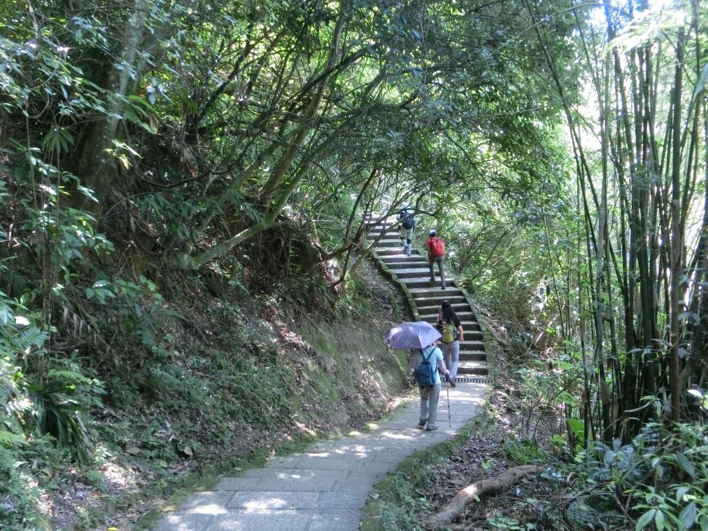 南港山縱走親山步道_173942